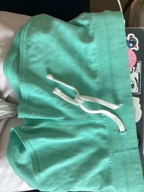 Brandy Melville teal Drawstring Shorts